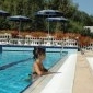 HOTEL MARINETTA - Foto 8